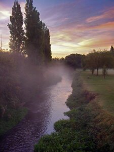 autumn mist